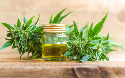 Why This Is The Time For UK CBD Companies To Invest In A Blog