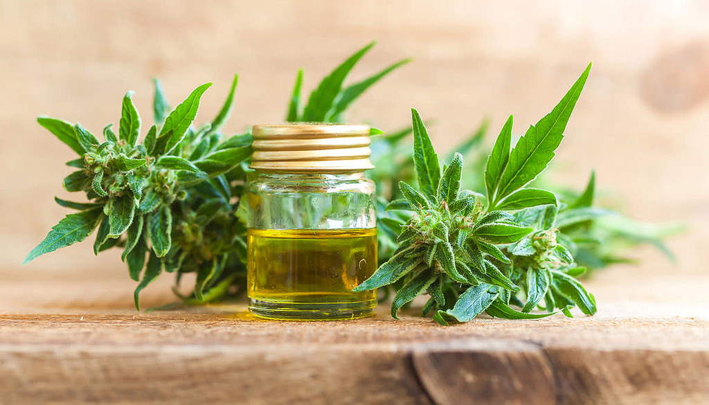 Why This Is The Time For UK CBD Companies To Invest In A Blog