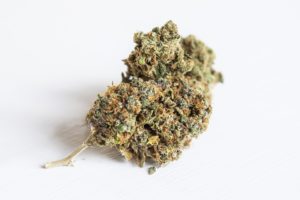 PSM - marijuana bud