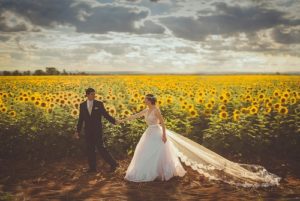 wedding photography in sunflower field