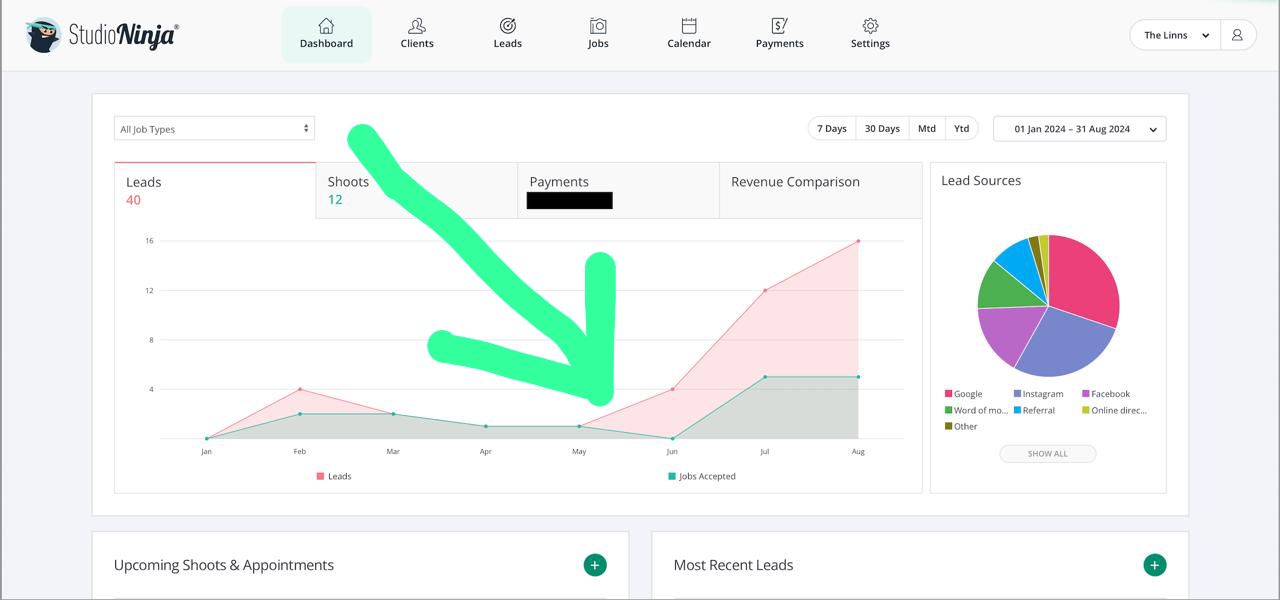 The Linns - Spike In Bookings After SEO