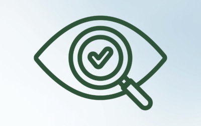 The Beginner’s Guide To AI Visibility